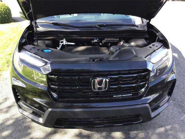 new 2025 Honda Ridgeline car, priced at $48,200