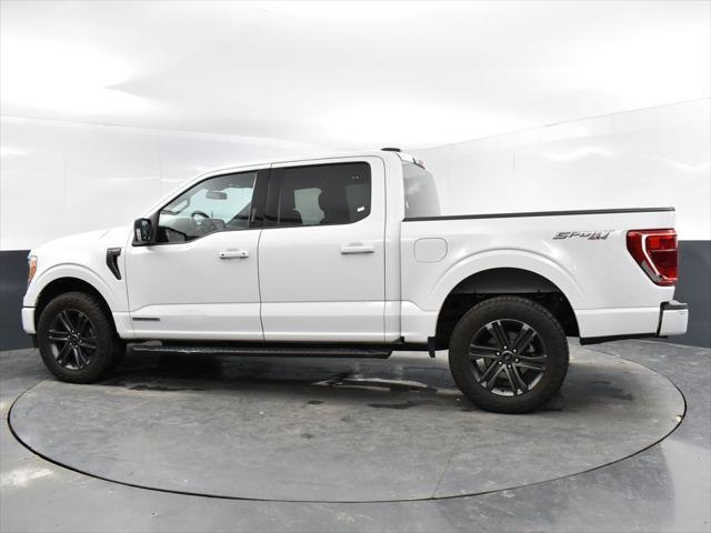 used 2021 Ford F-150 car, priced at $29,100