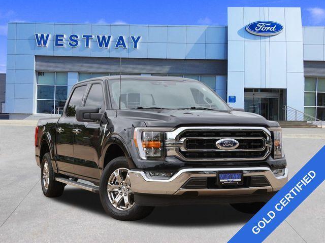 used 2023 Ford F-150 car, priced at $45,500