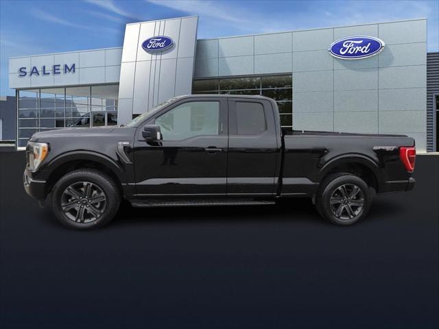 used 2021 Ford F-150 car