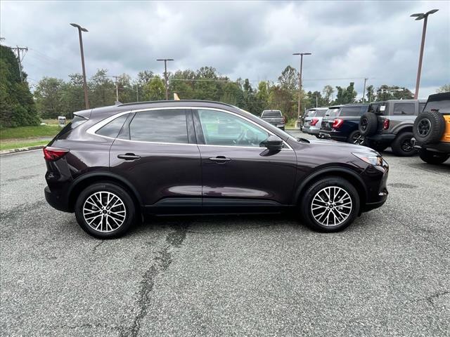 used 2023 Ford Escape car, priced at $31,875