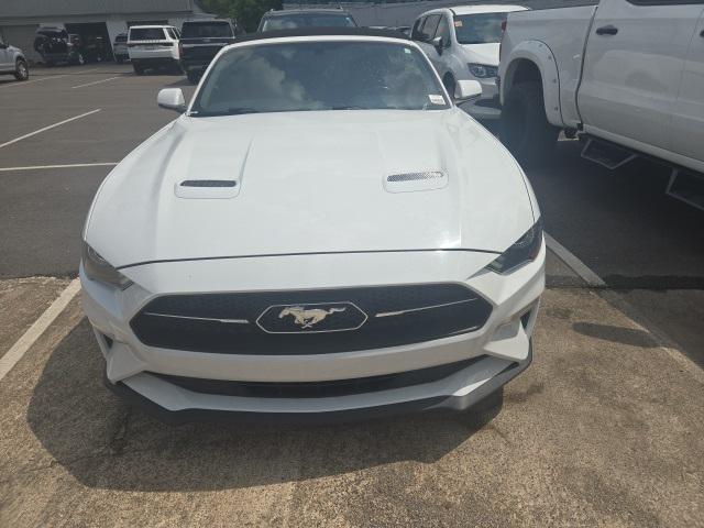 used 2019 Ford Mustang car, priced at $18,190