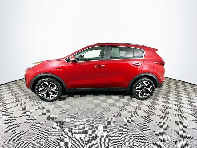 used 2022 Kia Sportage car, priced at $21,793