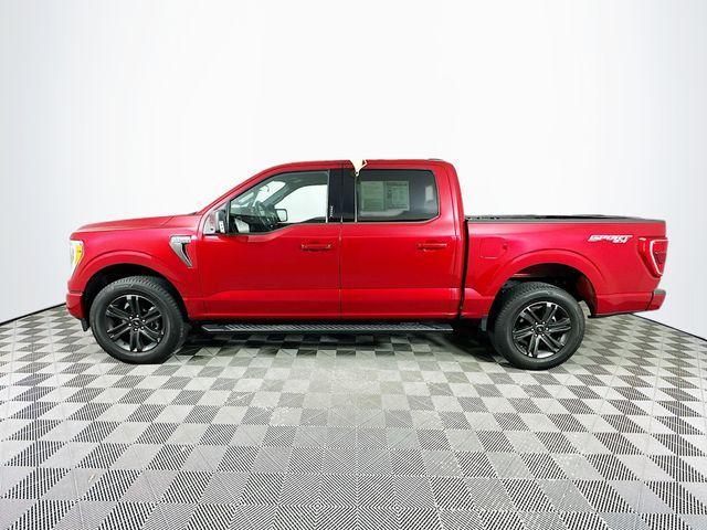used 2022 Ford F-150 car, priced at $36,994