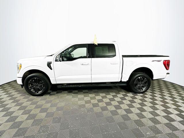 used 2023 Ford F-150 car, priced at $43,495