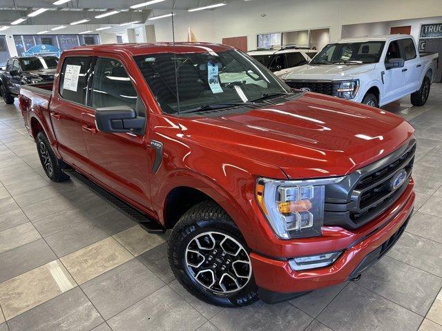 used 2023 Ford F-150 car, priced at $43,500