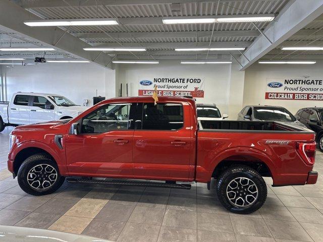 used 2023 Ford F-150 car, priced at $43,500