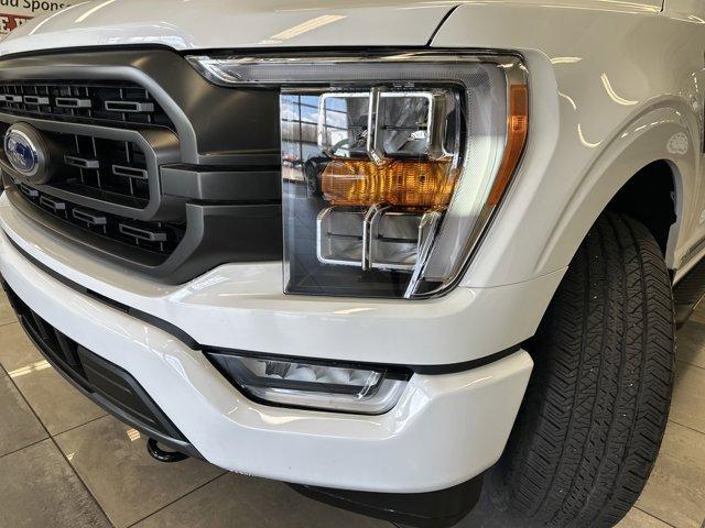 used 2023 Ford F-150 car, priced at $48,000