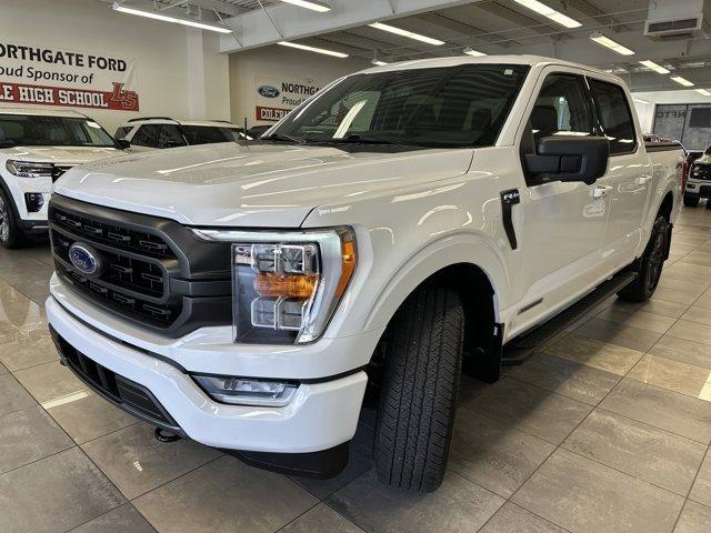 used 2023 Ford F-150 car, priced at $48,000