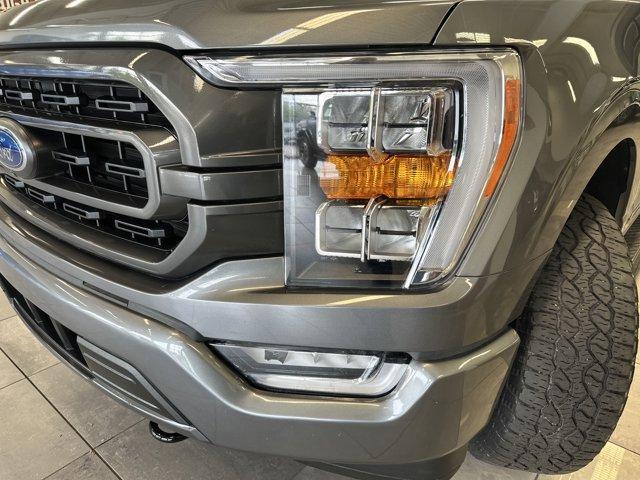 used 2023 Ford F-150 car, priced at $45,500