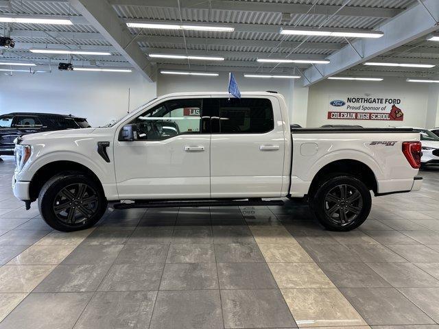 used 2023 Ford F-150 car, priced at $41,500