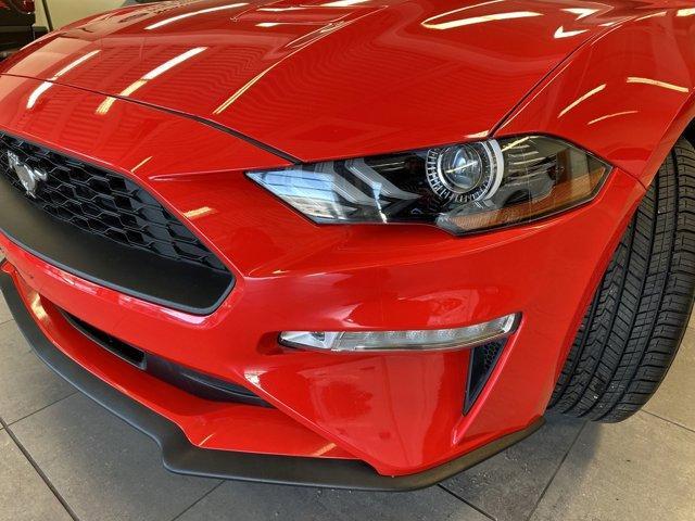 used 2019 Ford Mustang car, priced at $22,500