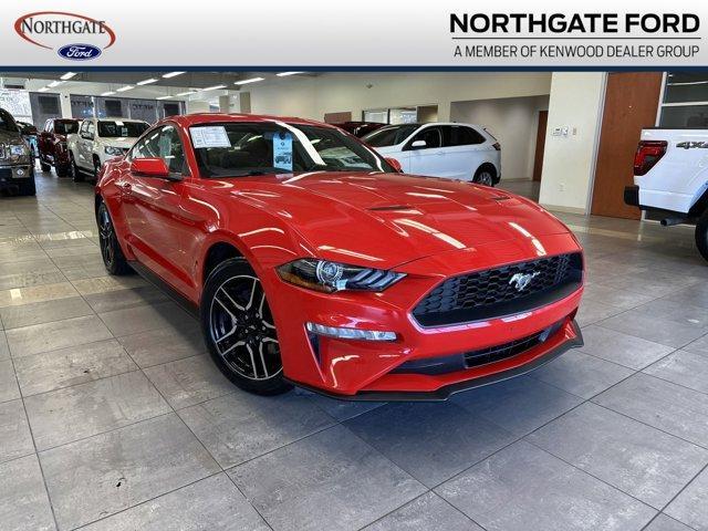 used 2019 Ford Mustang car, priced at $22,500