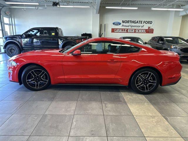 used 2019 Ford Mustang car, priced at $22,500