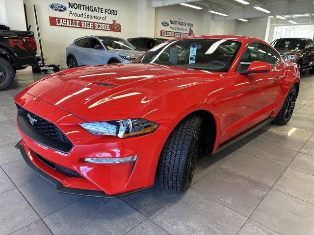 used 2019 Ford Mustang car, priced at $22,500