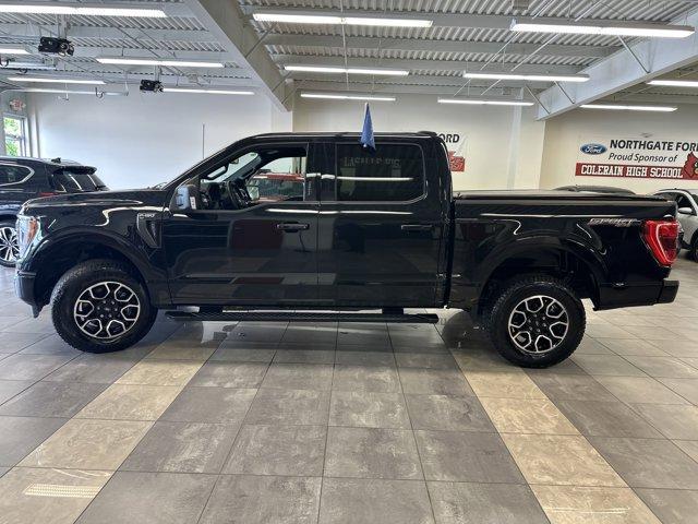 used 2023 Ford F-150 car, priced at $43,500