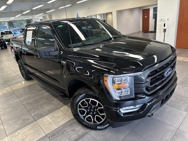 used 2023 Ford F-150 car, priced at $43,500