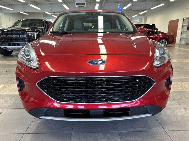 used 2020 Ford Escape car, priced at $14,000