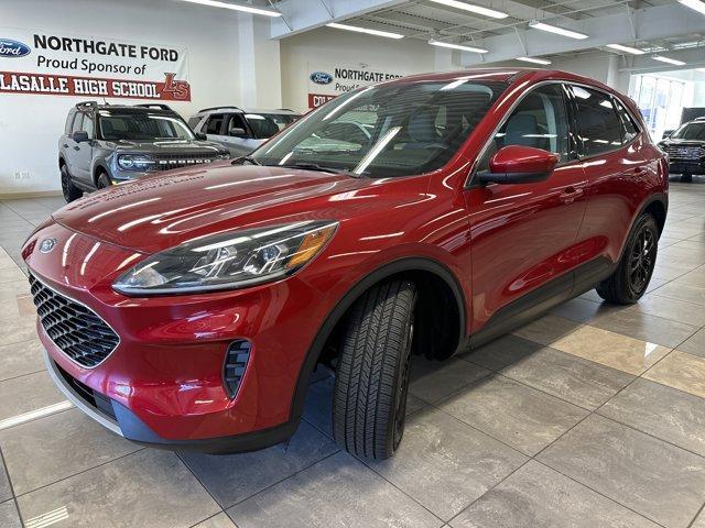 used 2020 Ford Escape car, priced at $14,000