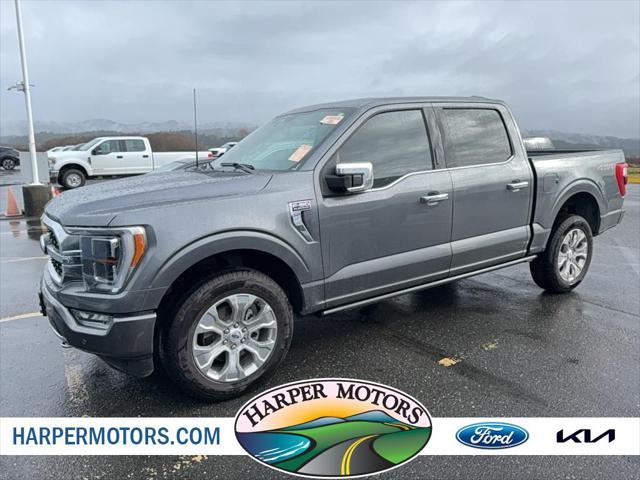 used 2023 Ford F-150 car, priced at $51,995