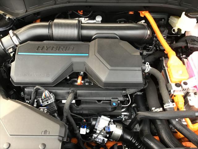 used 2023 Kia Sorento Hybrid car