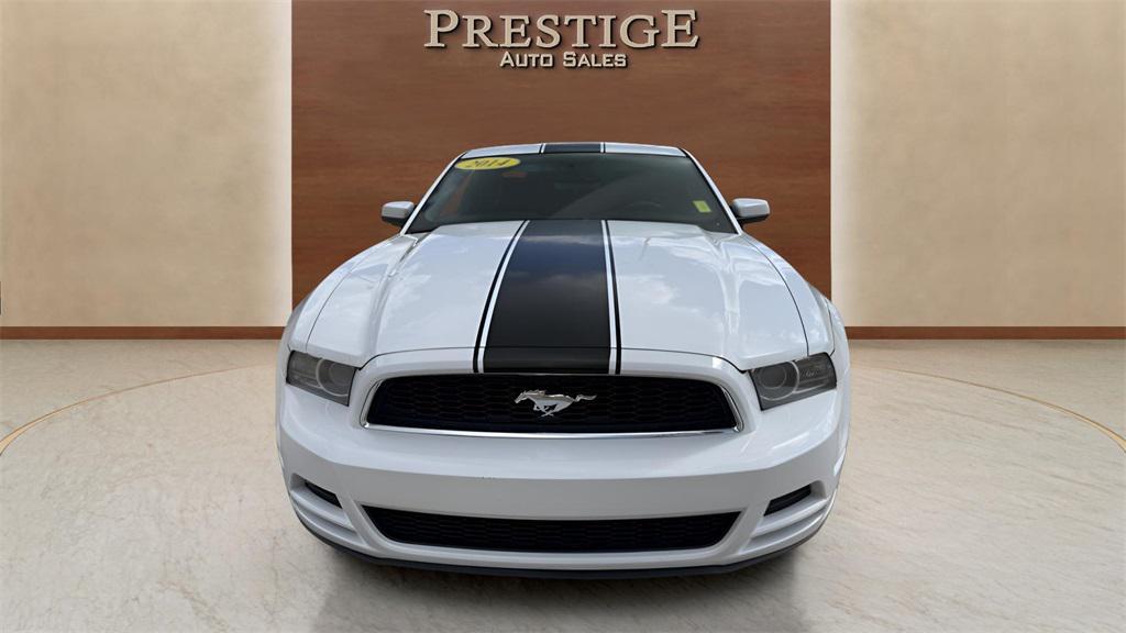 used 2014 Ford Mustang car, priced at $10,000
