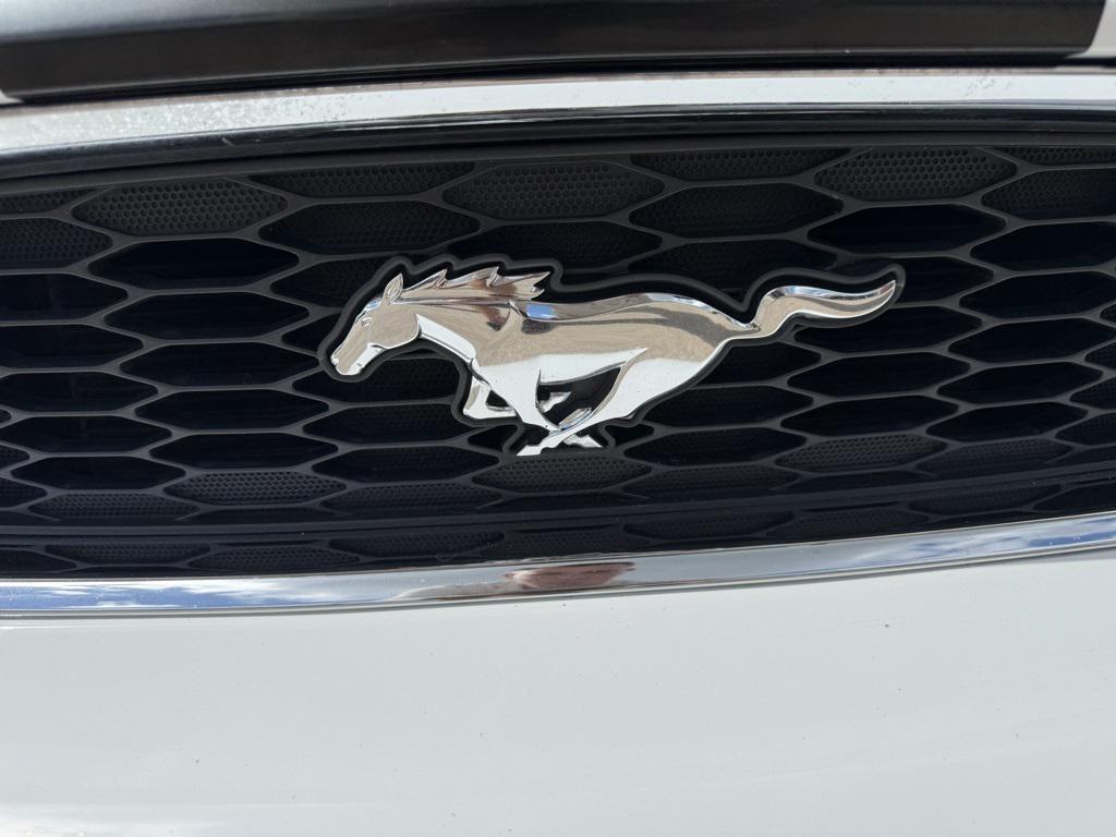 used 2014 Ford Mustang car, priced at $10,000