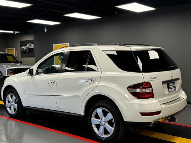 used 2010 Mercedes-Benz M-Class car, priced at $8,850