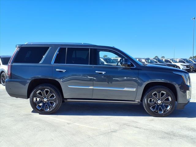 used 2019 Cadillac Escalade car, priced at $40,127