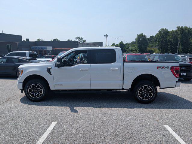 used 2021 Ford F-150 car