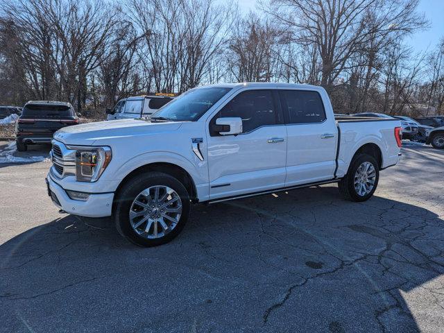 used 2023 Ford F-150 car, priced at $52,000