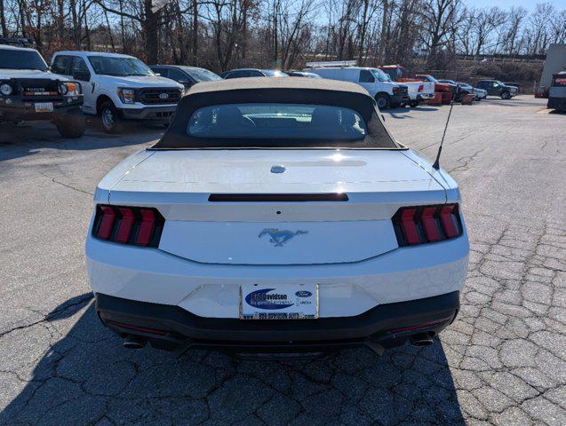 used 2024 Ford Mustang car