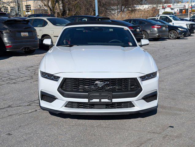 used 2024 Ford Mustang car