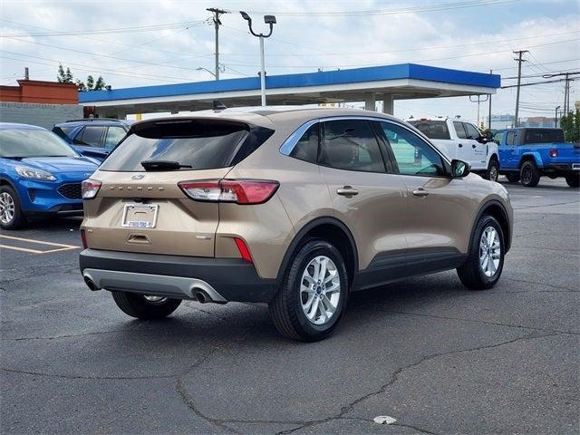 used 2020 Ford Escape car