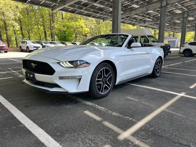 used 2022 Ford Mustang car, priced at $24,900