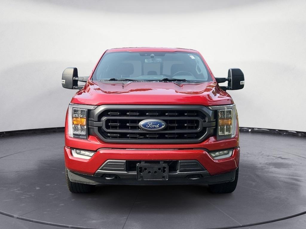used 2021 Ford F-150 car, priced at $34,900