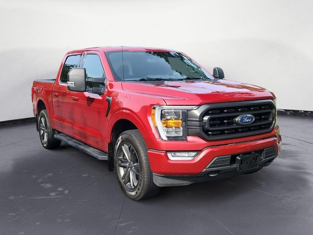 used 2021 Ford F-150 car, priced at $34,900