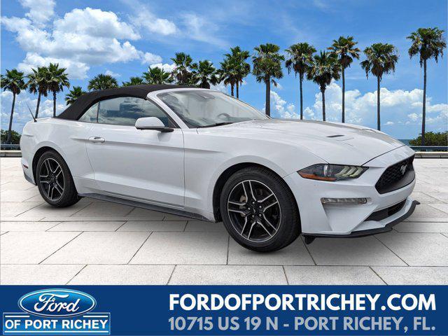 used 2023 Ford Mustang car, priced at $21,824
