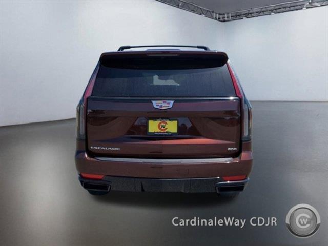 used 2023 Cadillac Escalade car, priced at $80,810