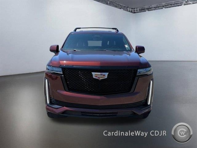 used 2023 Cadillac Escalade car, priced at $80,810