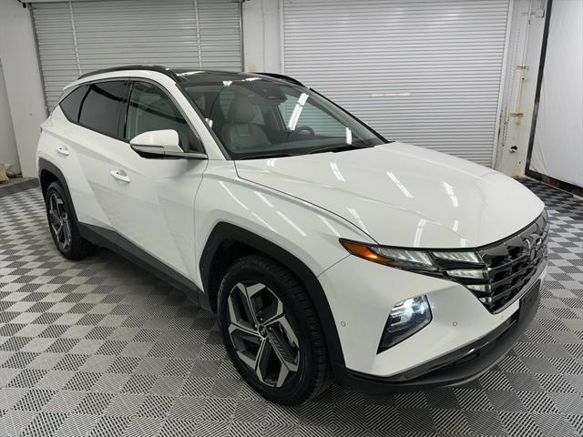 used 2024 Hyundai Tucson car, priced at $25,900