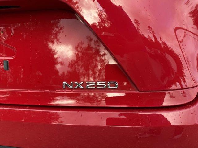 used 2024 Lexus NX 250 car, priced at $32,423