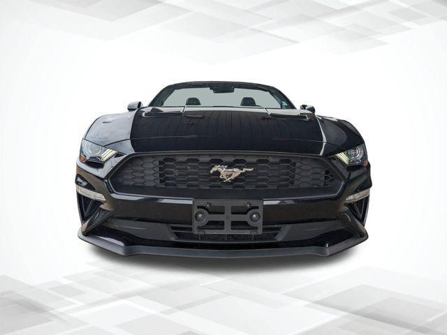 used 2023 Ford Mustang car, priced at $26,494