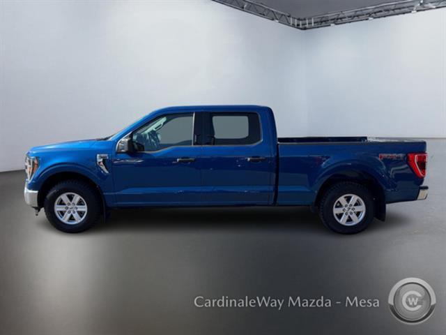 used 2023 Ford F-150 car, priced at $37,999