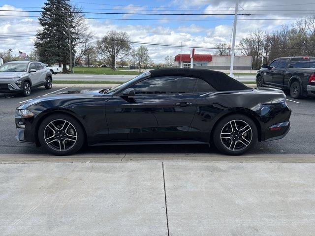used 2023 Ford Mustang car, priced at $26,441