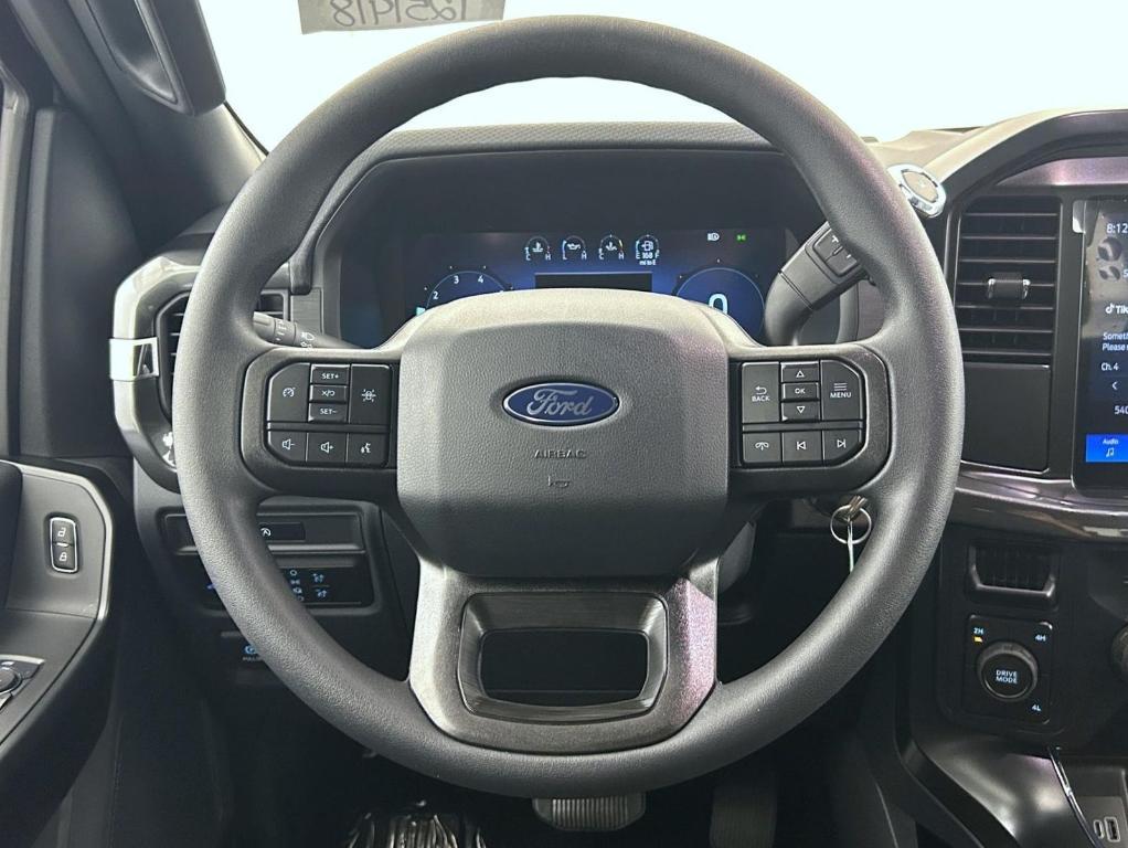 new 2025 Ford F-150 car, priced at $47,517