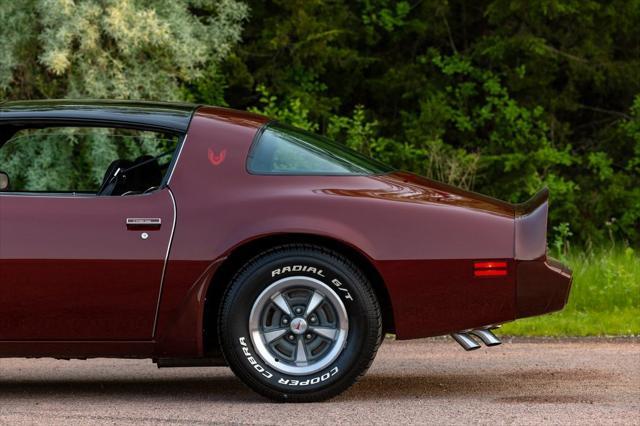 used 1981 Pontiac Firebird car, priced at $38,750