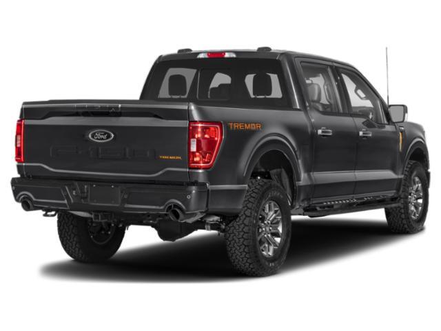 used 2023 Ford F-150 car