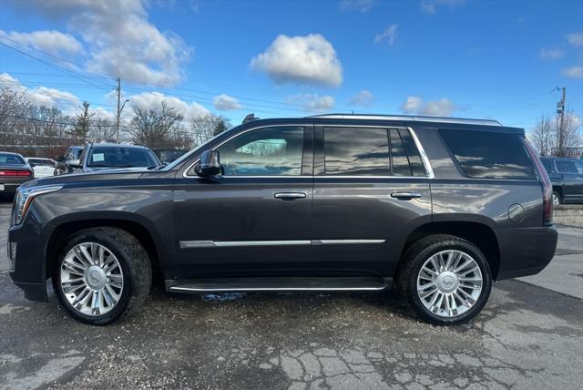 used 2016 Cadillac Escalade car, priced at $19,990