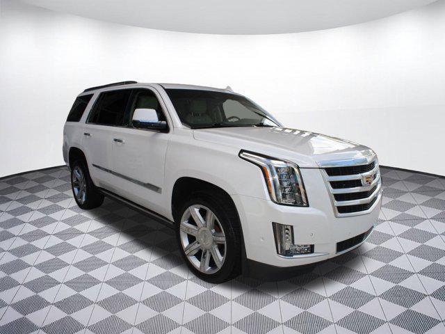 used 2019 Cadillac Escalade car, priced at $39,999